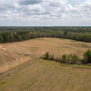Photo #4 of 86 AC Holy Neck Road, Suffolk, Virginia 86.0 acres