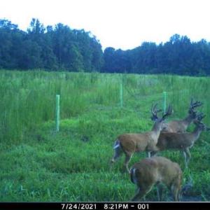 Photo #39 of 86 AC Holy Neck Road, Suffolk, Virginia 86.0 acres