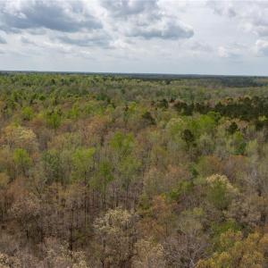 Photo #5 of 86 AC Holy Neck Road, Suffolk, Virginia 86.0 acres
