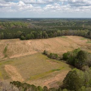 Photo #6 of 86 AC Holy Neck Road, Suffolk, Virginia 86.0 acres