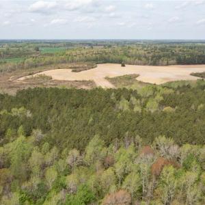 Photo #7 of 86 AC Holy Neck Road, Suffolk, Virginia 86.0 acres