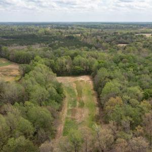 Photo #10 of 86 AC Holy Neck Road, Suffolk, Virginia 86.0 acres