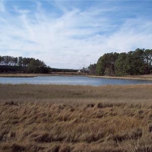 Photo #5 of Lot 13 Metompkin Road, Nelsonia, Virginia
