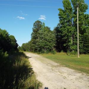 Road to entrance