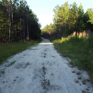 Path through land