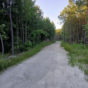 Photo #5 of 801 Brick Yard Road, Emporia, Virginia 10.0 acres