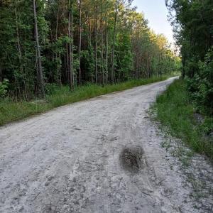 Photo #6 of 801 Brick Yard Road, Emporia, Virginia 10.0 acres
