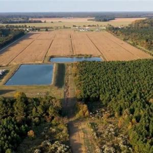 Photo #2 of 3515 Baum Road, Virginia Beach, Virginia 202.0 acres