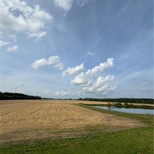 Photo #11 of 3515 Baum Road, Virginia Beach, Virginia 202.0 acres