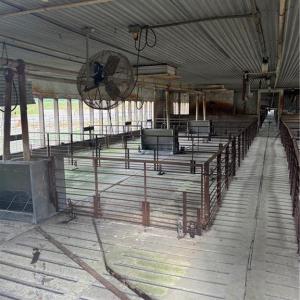 Photo #13 of 3515 Baum Road, Virginia Beach, Virginia 202.0 acres