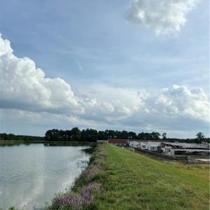 Photo #14 of 3515 Baum Road, Virginia Beach, Virginia 202.0 acres