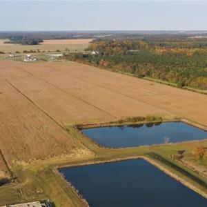 Photo #4 of 3515 Baum Road, Virginia Beach, Virginia 202.0 acres