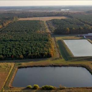 Photo #5 of 3515 Baum Road, Virginia Beach, Virginia 202.0 acres