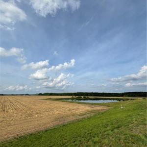 Photo #10 of 3515 Baum Road, Virginia Beach, Virginia 202.0 acres