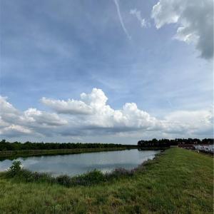 Photo #15 of 3515 Baum Road, Virginia Beach, Virginia 202.0 acres