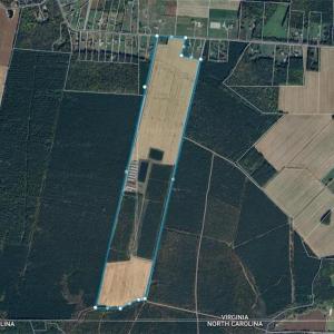 Photo #16 of 3515 Baum Road, Virginia Beach, Virginia 202.0 acres