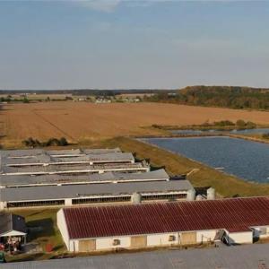 Photo #3 of 3515 Baum Road, Virginia Beach, Virginia 202.0 acres