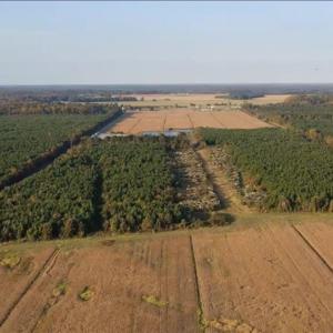 Photo #6 of 3515 Baum Road, Virginia Beach, Virginia 202.0 acres
