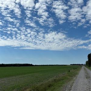 Photo #9 of 3515 Baum Road, Virginia Beach, Virginia 202.0 acres