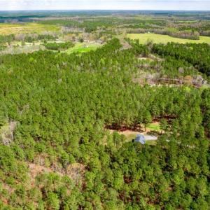 Photo #6 of 3+ac Spring Farm Road, Dendron, Virginia 4.0 acres