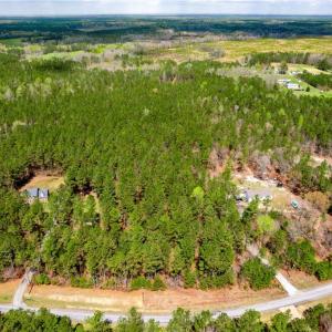 Photo #2 of 3+ac Spring Farm Road, Dendron, Virginia 4.0 acres