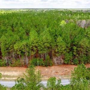 Photo #3 of 3+ac Spring Farm Road, Dendron, Virginia 4.0 acres