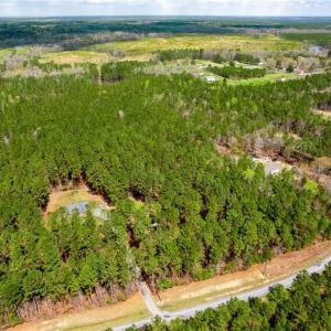 Photo #4 of 3+ac Spring Farm Road, Dendron, Virginia 4.0 acres