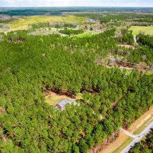 Photo #5 of 3+ac Spring Farm Road, Dendron, Virginia 4.0 acres