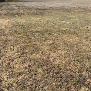 Photo #3 of 1+ac River & Farm Road, South Boston, Virginia