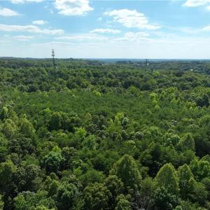 Photo #11 of Blue Jay Street, Danville, Virginia 42.9 acres