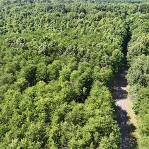 Photo #13 of Blue Jay Street, Danville, Virginia 42.9 acres