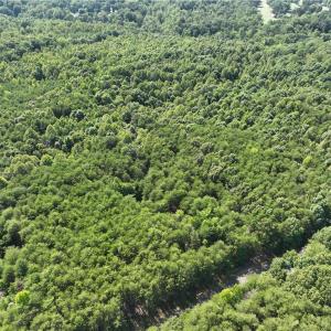 Photo #14 of Blue Jay Street, Danville, Virginia 42.9 acres