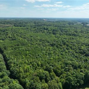Photo #15 of Blue Jay Street, Danville, Virginia 42.9 acres