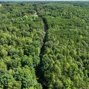 Photo #16 of Blue Jay Street, Danville, Virginia 42.9 acres