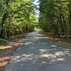 Photo #4 of Blue Jay Street, Danville, Virginia 42.9 acres