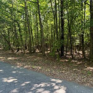 Photo #6 of Blue Jay Street, Danville, Virginia 42.9 acres