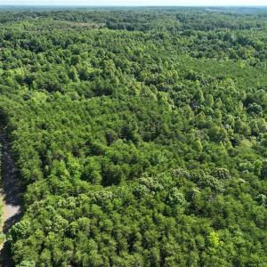 Photo #10 of Blue Jay Street, Danville, Virginia 42.9 acres