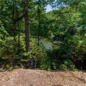 Just a little limbing up to open creek views