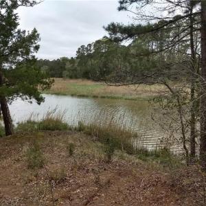 Photo #3 of 1 Gayle Way, Carrollton, Virginia 4.0 acres