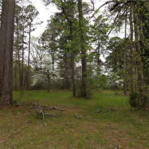 Photo #4 of 1 Gayle Way, Carrollton, Virginia 4.0 acres