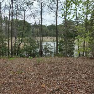 Photo #6 of 1 Gayle Way, Carrollton, Virginia 4.0 acres