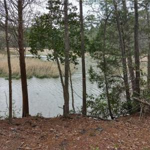 Photo #7 of 1 Gayle Way, Carrollton, Virginia 4.0 acres