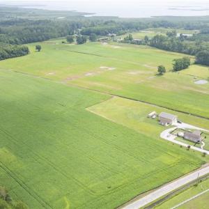 Photo #8 of 1524 Gum Bridge Road, Virginia Beach, Virginia 47.4 acres