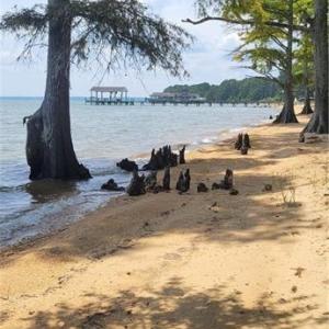 Photo #11 of 15095 Shore Drive, Smithfield, Virginia 5.0 acres