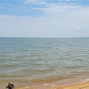 Photo #4 of 15095 Shore Drive, Smithfield, Virginia 5.0 acres