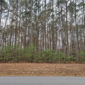 Photo #10 of 15095 Shore Drive, Smithfield, Virginia 5.0 acres