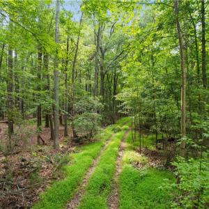 Photo #2 of 6.3 AC Harris Creek Road, Hampton, Virginia 6.3 acres