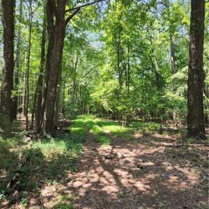 Harris Creek Road Hampton VA 6.3 acres