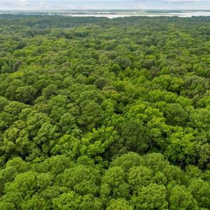Photo #16 of 6.3 AC Harris Creek Road, Hampton, Virginia 6.3 acres