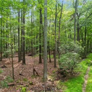 Photo #3 of 6.3 AC Harris Creek Road, Hampton, Virginia 6.3 acres